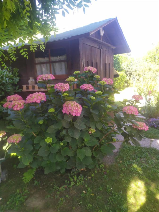 Al Casale B&B Casalserugo Bagian luar foto