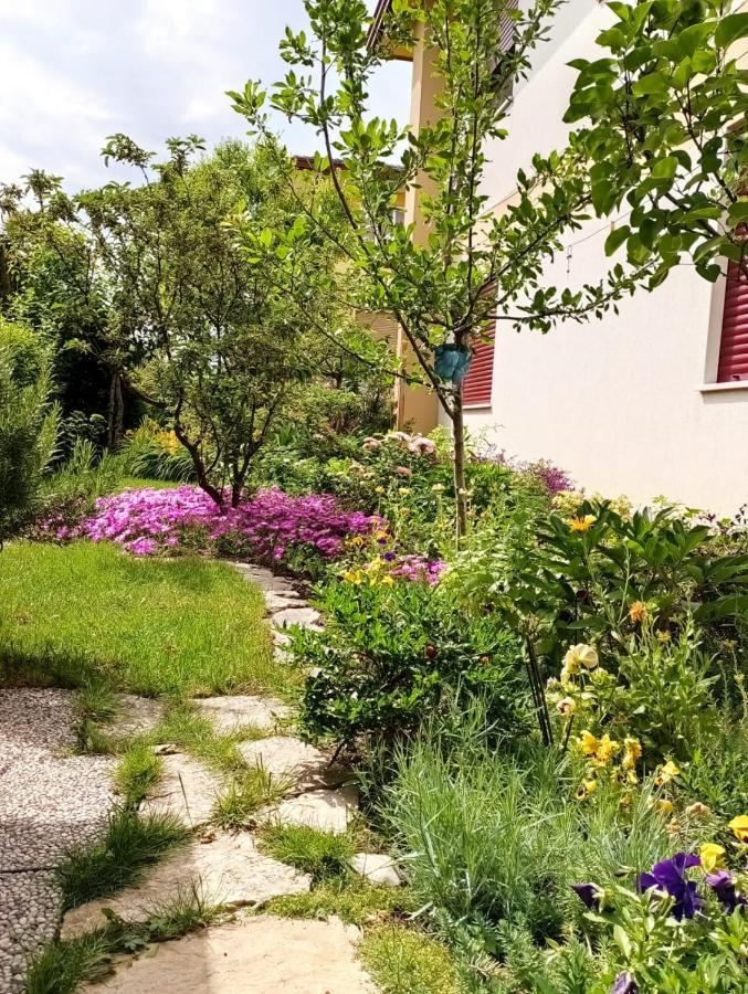 Al Casale B&B Casalserugo Bagian luar foto